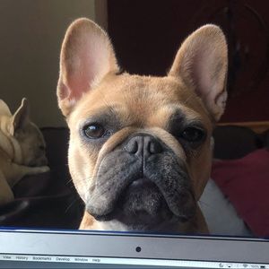 Meet your Posher, Jason